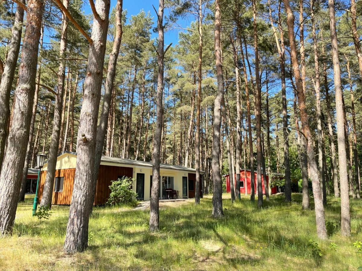 Holiday Home Silz Am Fleesensee-1 By Interhome Silz (Mecklenburg-Vorpommern) Exterior foto